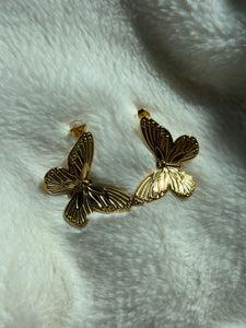 WP Butterfly Stud Earrings